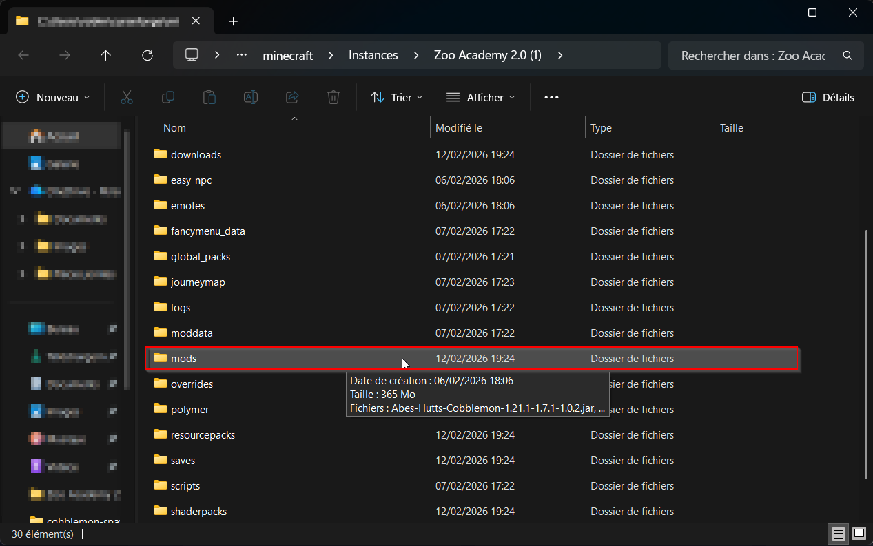 Ouvrez le dossier mods