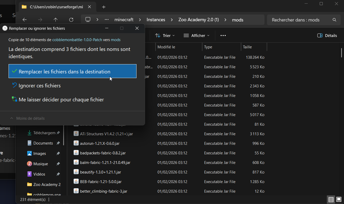 Remplacer les fichiers