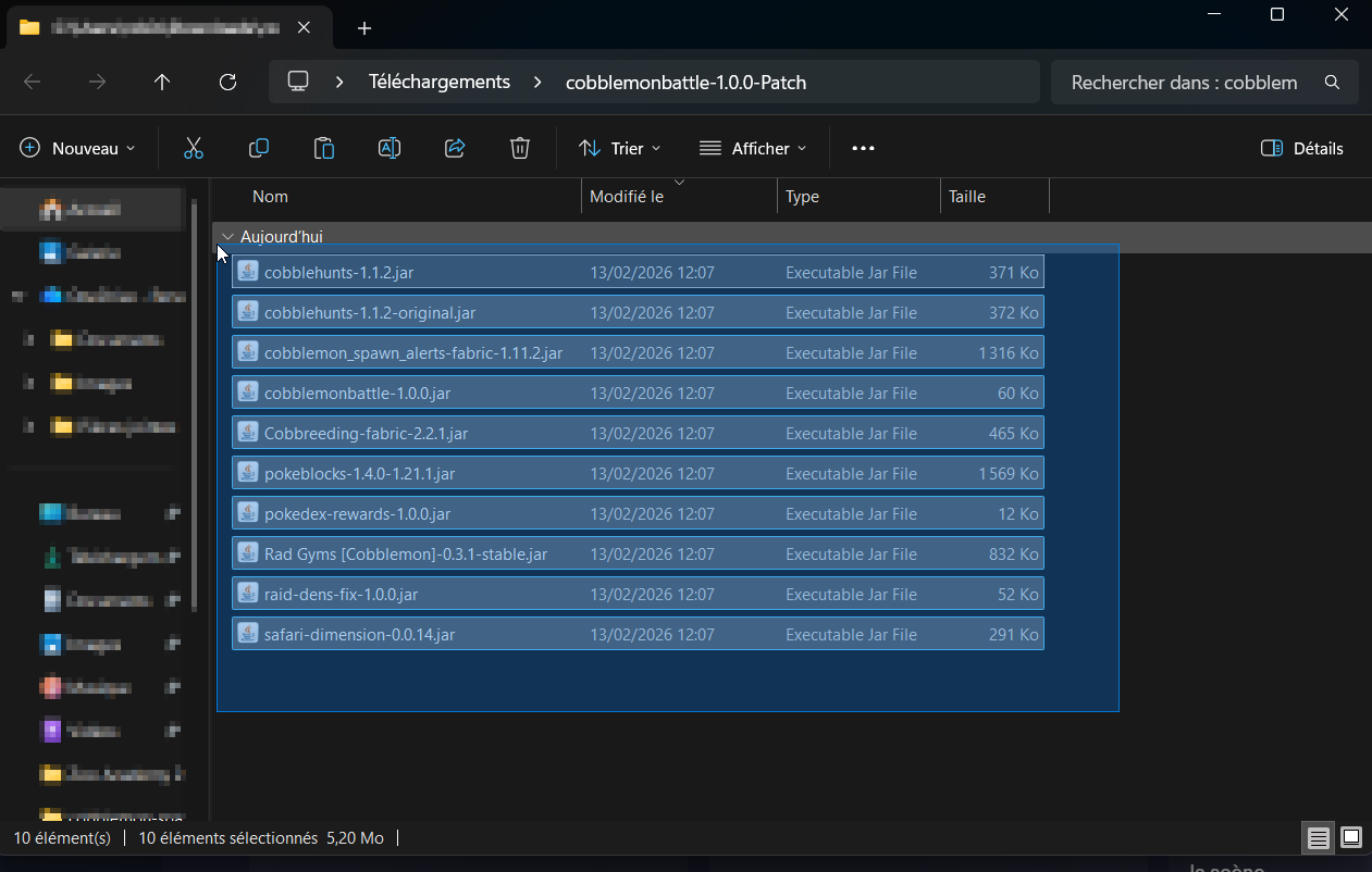Selectionnez et copiez les mods